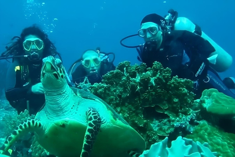 Tour de Buceo en Isla Floreana con Enchanted Islands