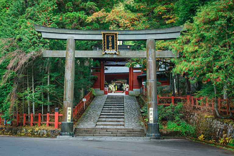 From Tokyo: Nikko World Heritage Sight Full Day Private Tour