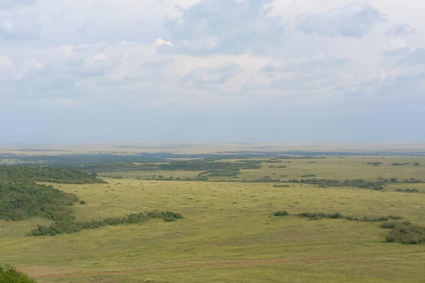 Parc national de Nairobi : 4 heures de safari en voiture pour rejoindre le circuit.