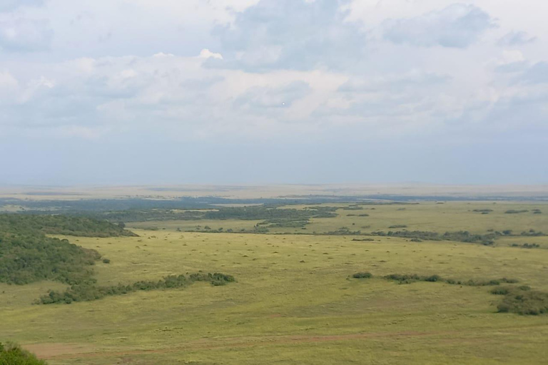 Parc national de Nairobi : 4 heures de safari en voiture pour rejoindre le circuit.