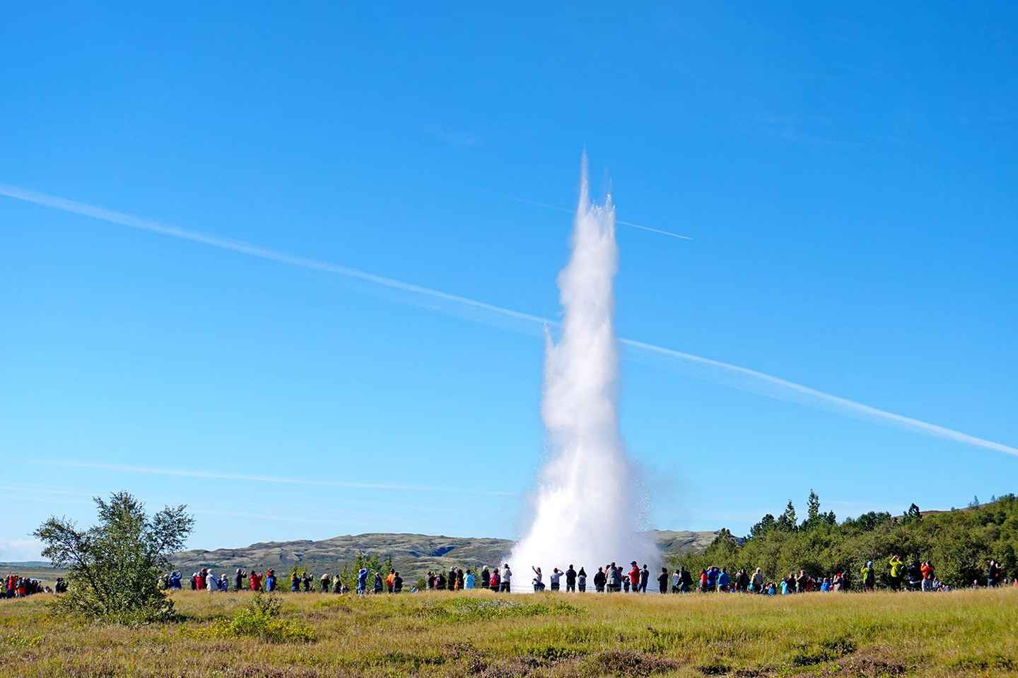 Рейкьявик: Золотое кольцо, снорклинг в Сильфре и фермерский обед