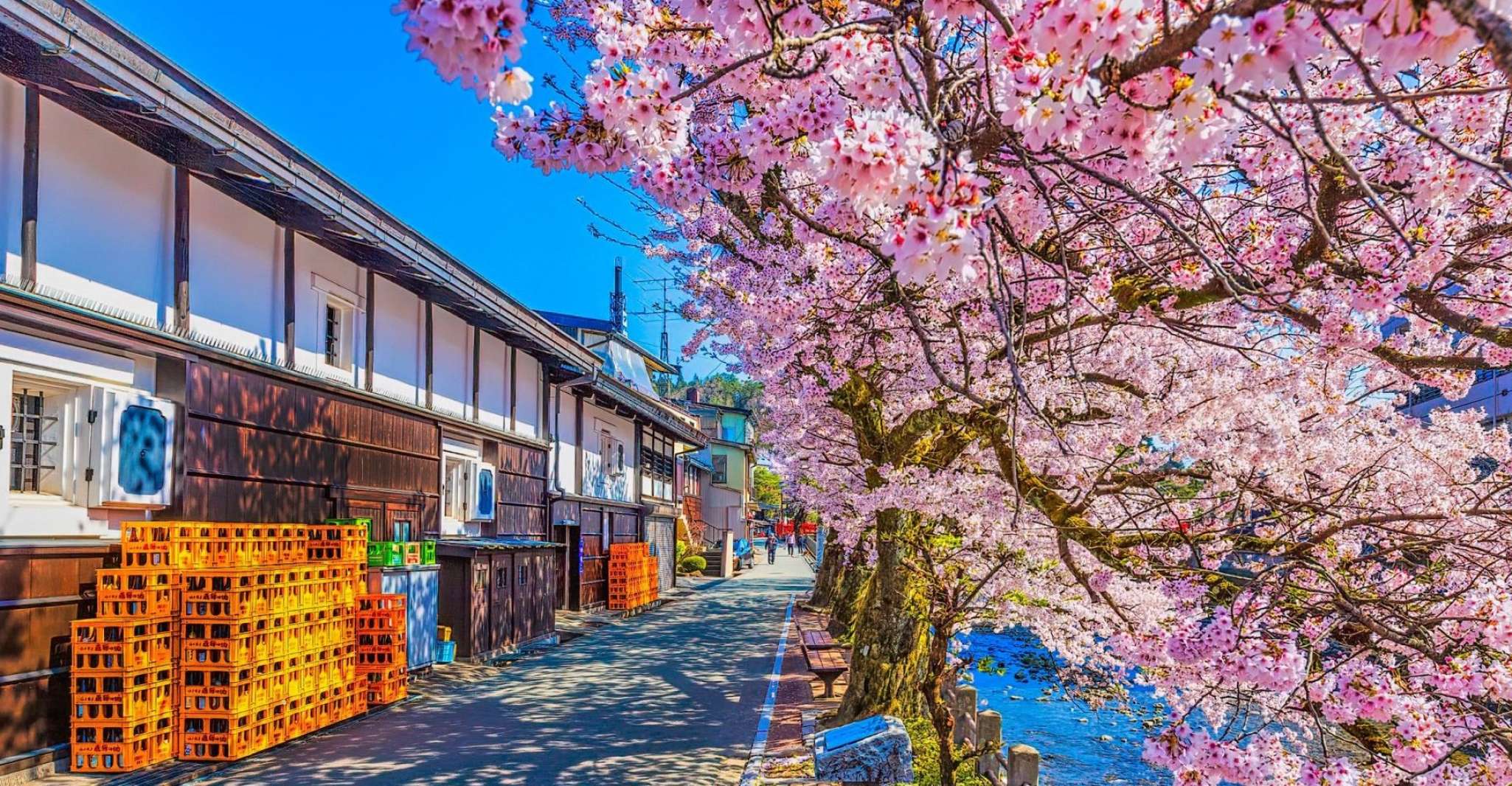 Nagoya, Hida Takayama & World Heritage Shirakawa-go Day Tour - Housity