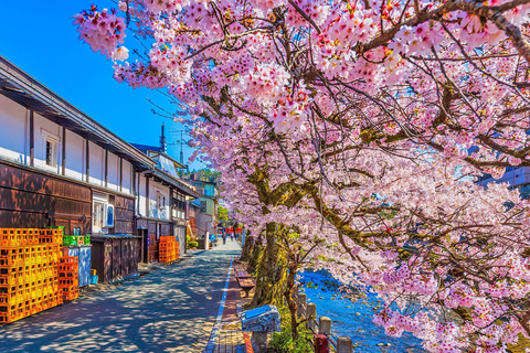 Nagoya: Hida Takayama & World Heritage Shirakawa-go Day Tour Tour with Tofu Oden Lunch