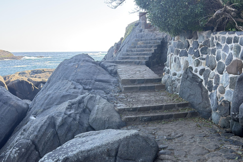 From Santiago: Papudo Horseback Ride & Penguin Watching