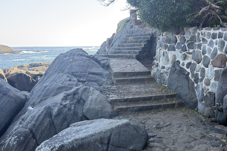 From Santiago: Papudo Horseback Ride & Penguin Watching