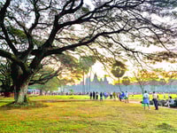 Angkor wat amanecer con grupo pequeño - Housity