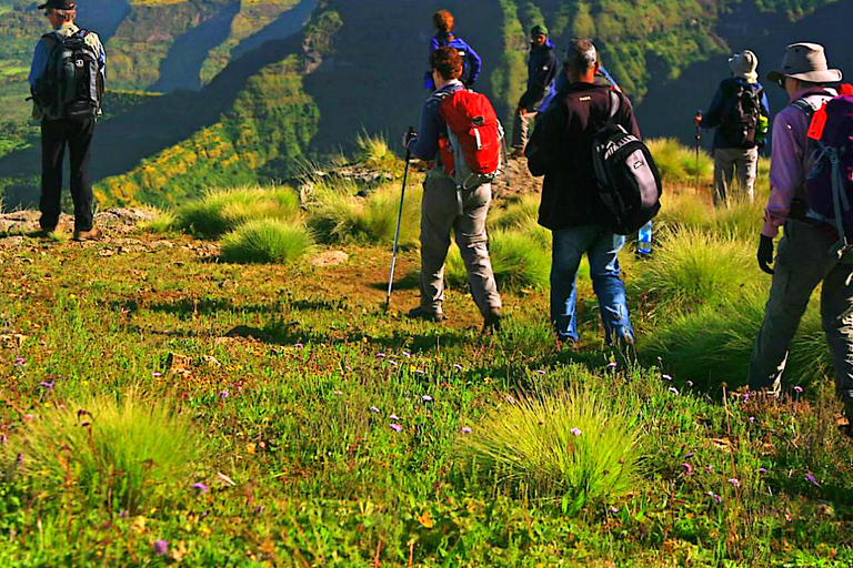 4-dniowa wycieczka trekkingowa w góry Simien.4 dni trekkingu w górach Simien.