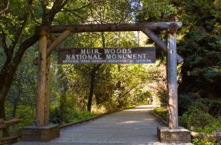 San Francisco: Private Muir Woods, Sausalito Halbtagestour