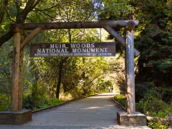 SF: Muir Woods, Sausalito, Golden Gate Bridge privat tur