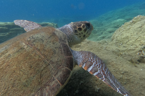 Heraklion: Beginner-Friendly Snorkeling Trip