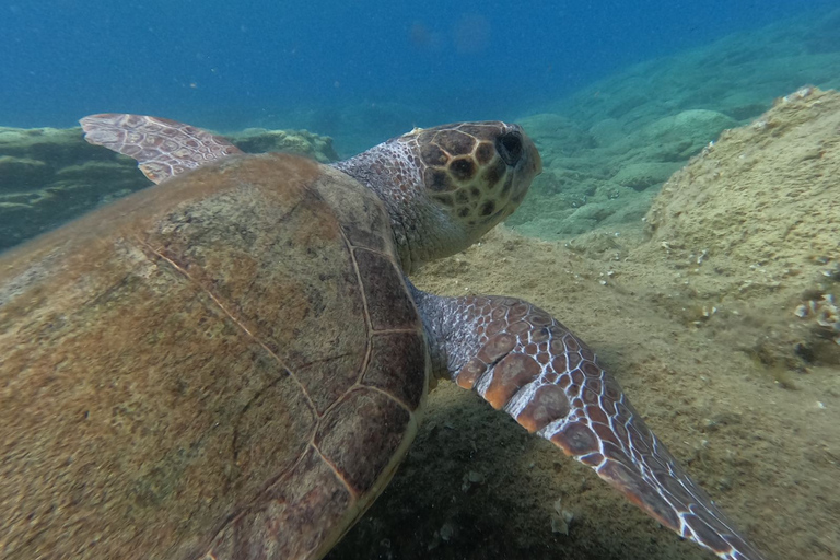 Heraklion: Beginner-Friendly Snorkeling Trip