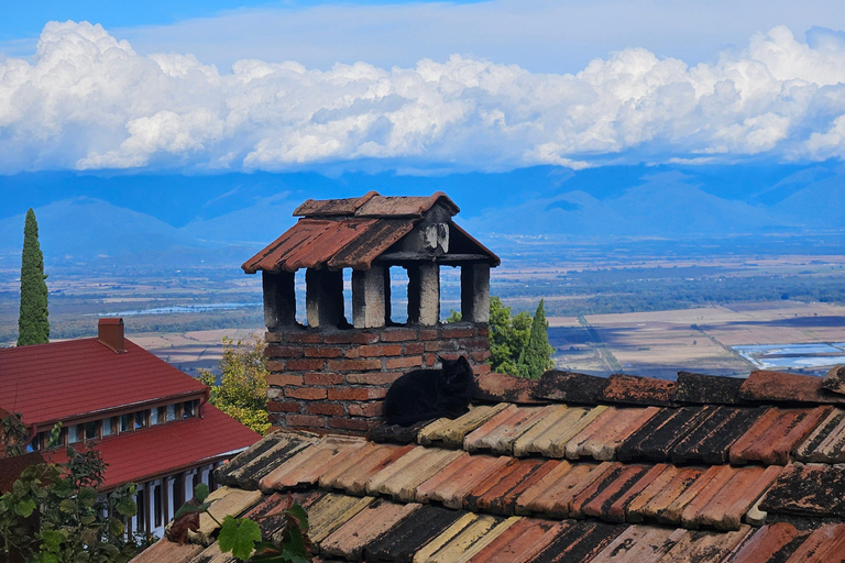 Flavors & Scenery of Kakheti: Wine, Culture, Heritage Tour One-day tour to the birthplace of wine, the city of love