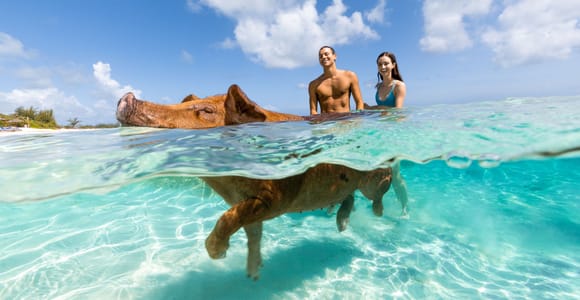 Paradise Island: Rose Island Tour with Swimming Pigs & Lunch