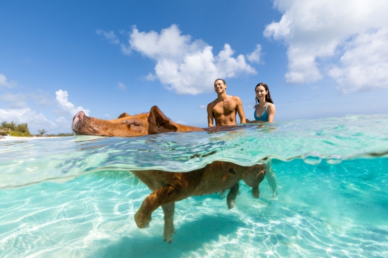 Bahamas: Ganztägiger Strandausflug nach Sandy ToesBahamas: Ganztägiger Strandausflug - Sandy Toes, Rose Island