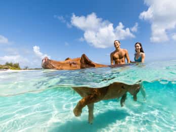 Ilha Paraíso: Excursão à Ilha Rosa com banho de porcos e almoço