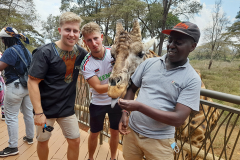 Nationaal park Nairobi, David Sheldrick, giraffencentrum