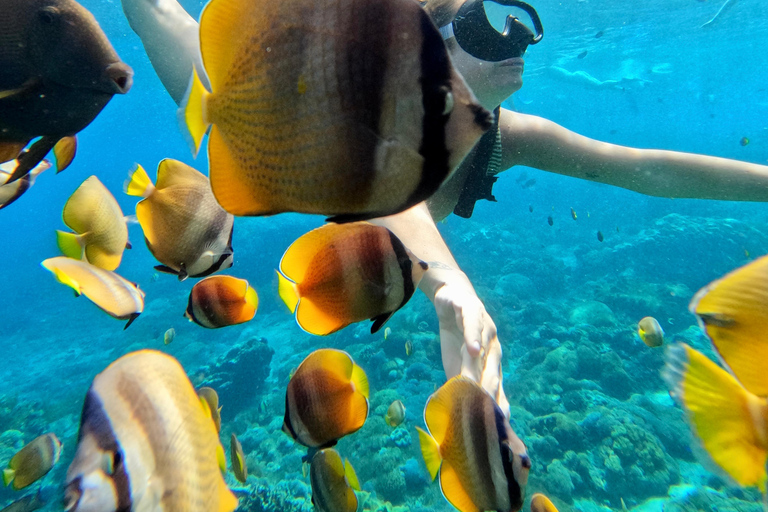From Bali: Private Half-Day Snorkeling Tour to Nusa Penida Half Day Private Boat Trip with Hotel Transfers