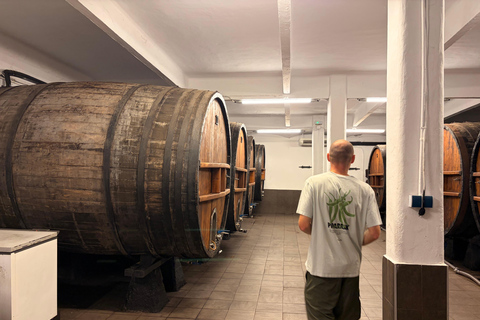 Traditional Cider House Tour | Calonge, San Sebastián
