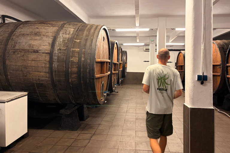 Traditional Cider House Tour | Calonge, San Sebastián