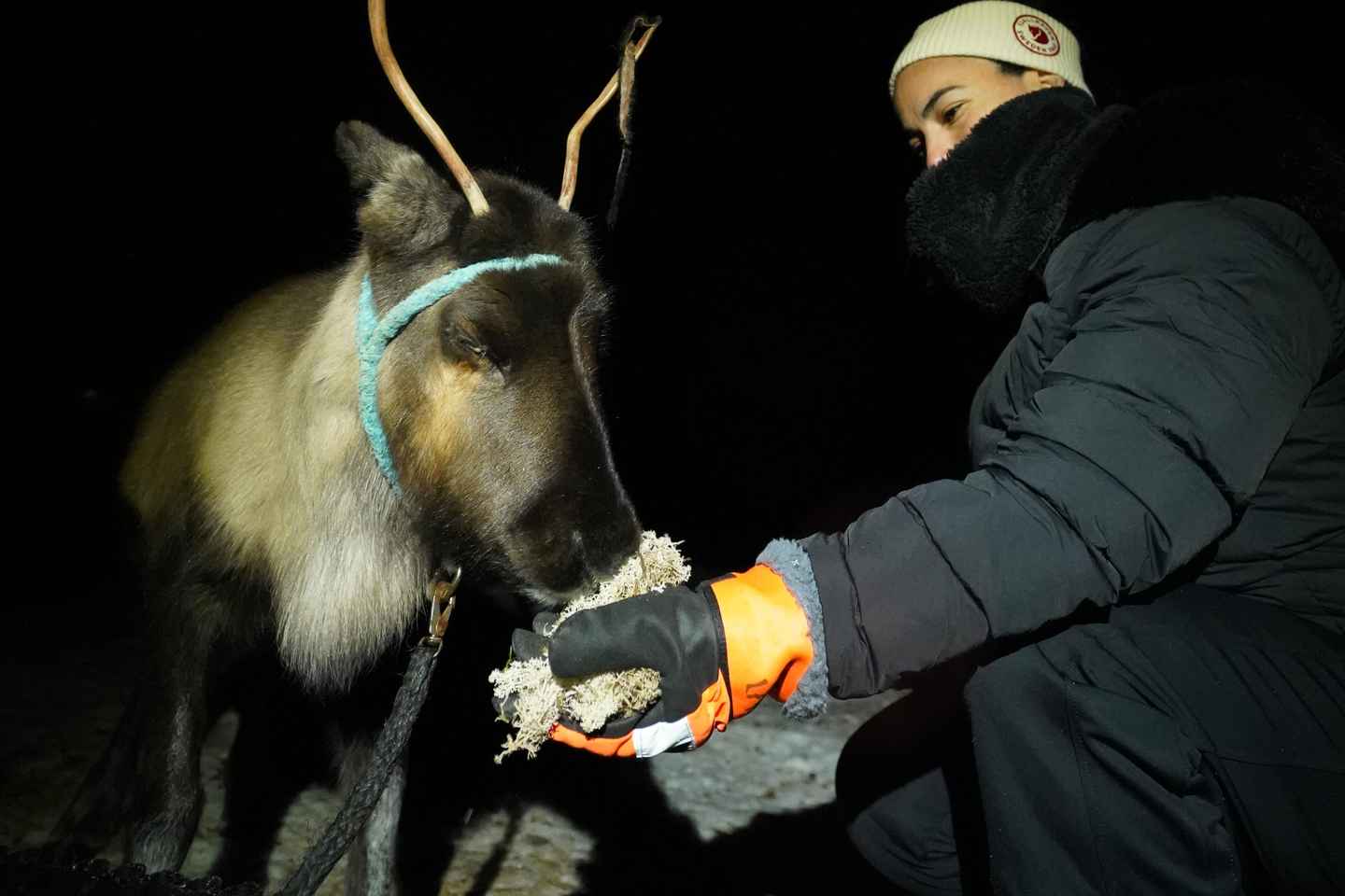 Kiruna: Alimentación de Renos y Tour de la Aurora Boreal