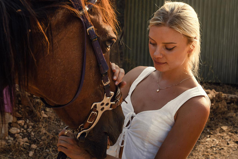Albufeira: Horseback Ride with Tapas and Wine