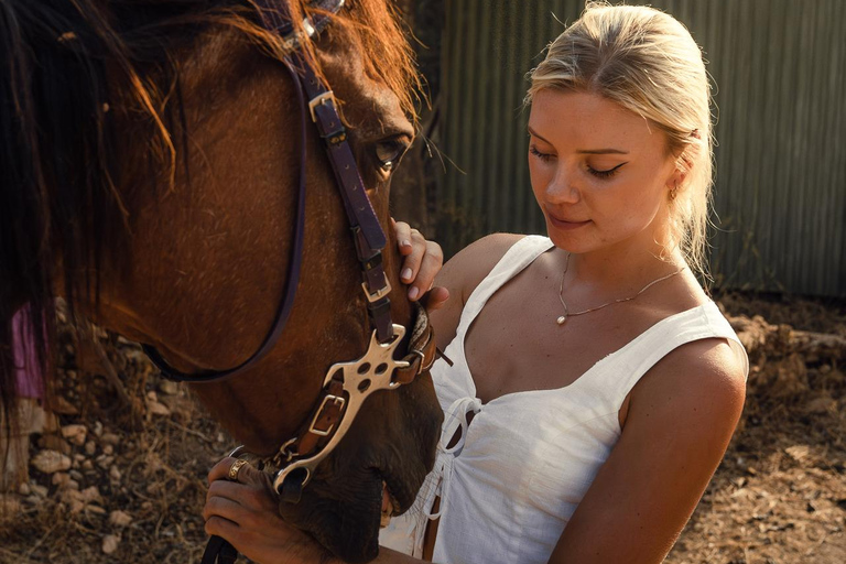 Albufeira: Horseback Ride with Tapas and Wine