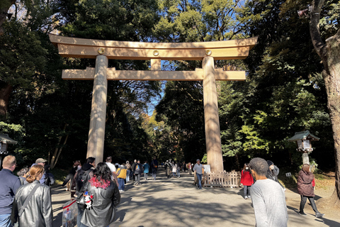 Tóquio: Santuário e Templo Tradicionais com Passeio pelas ConbiniTóquio: Santuário e templo tradicionais com passeio por lojas de conveniência