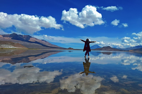 Arequipa: Salinas Lagoon, Flamingos, Vicuñas & ATV Adventure