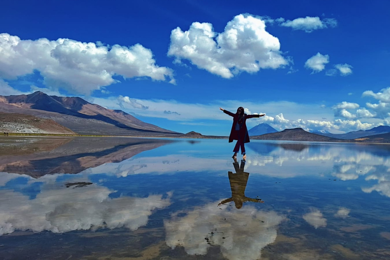 Arequipa: Salinas Lagoon, Flamingos, Vicuñas & ATV Adventure