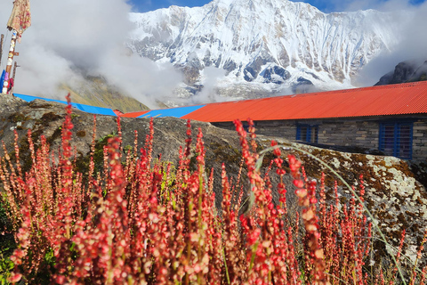 Excursión de 9 días al Campo Base del Annapurna vía Ghorepani Poon Hill