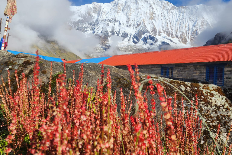 Trek de 9 jours au camp de base de l'Annapurna via Ghorepani Poon Hill