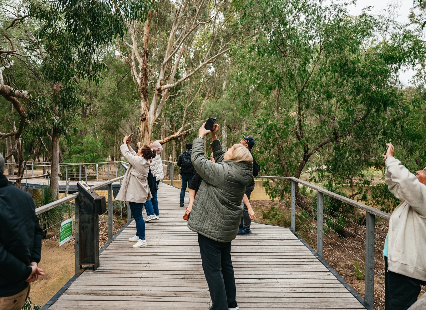 Perth: Solnedgang i Pinnacles-ørkenen og stjernekiggeri med middag