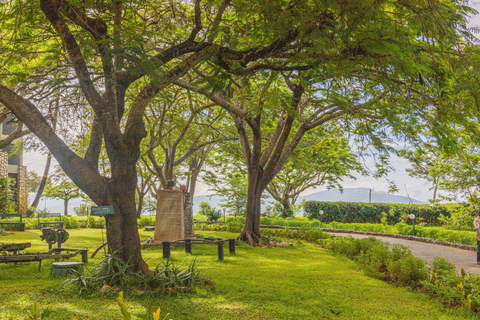 Desde Mombasa/Diani: Safari al Santuario de Saltlick Taita Hills