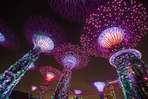 Gardens by the Bay billet d'entrée groupé