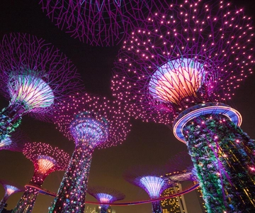 Gardens by the Bay Bundle Entry Ticket