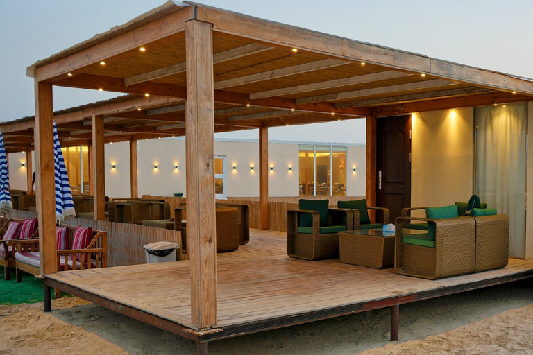 Doha: Full-Day Desert Safari, Dune Bashing & BBQ Dinner