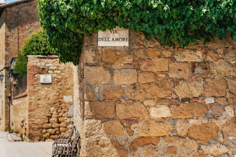 Val D'Orcia: kaas- en wijnproeverij uit FlorenceTour in het Spaans