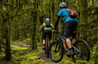 Ab Belfast: E-Mountainbike-Ausflug
