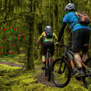 Castlewellan:Electric Mountain Biking Escape