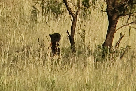 Johannesburg: Pilanesberg Nature Reserve Overnight Safari