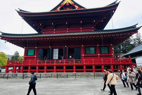 From Tokyo: Nikko World Heritage Private Tour with Guide Nikko World Heritage Full Day share Van tour