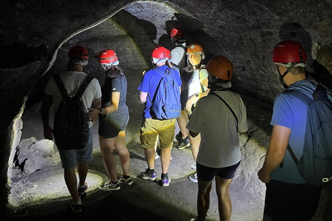 Etna Guided Tour for Cruise passengers (from Catania Port)