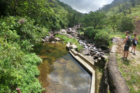 Kandy: Wasserfälle und einheimische Dörfer Tagestour mit Mittagessen