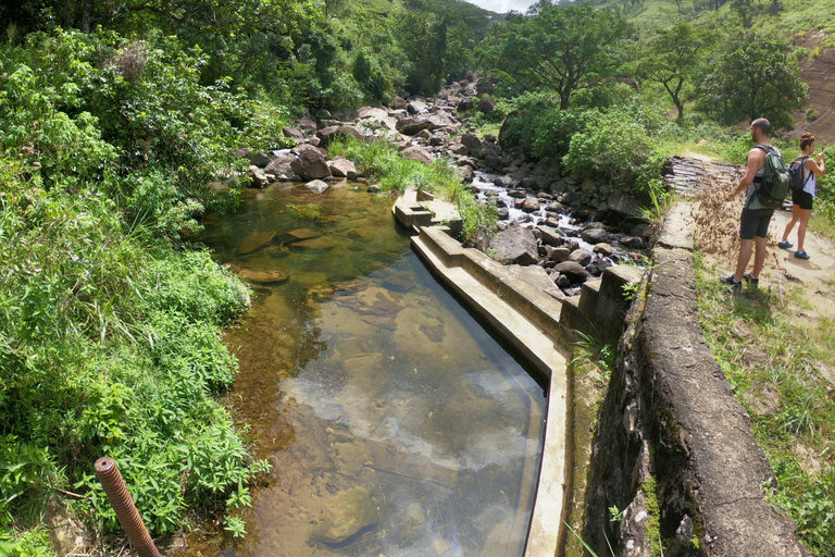 Kandy: Dagstur med vattenfall och lokal by med lunch