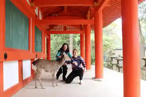 Privat Nara-tur og sake-smaking (avreise fra Kyoto/Nara)