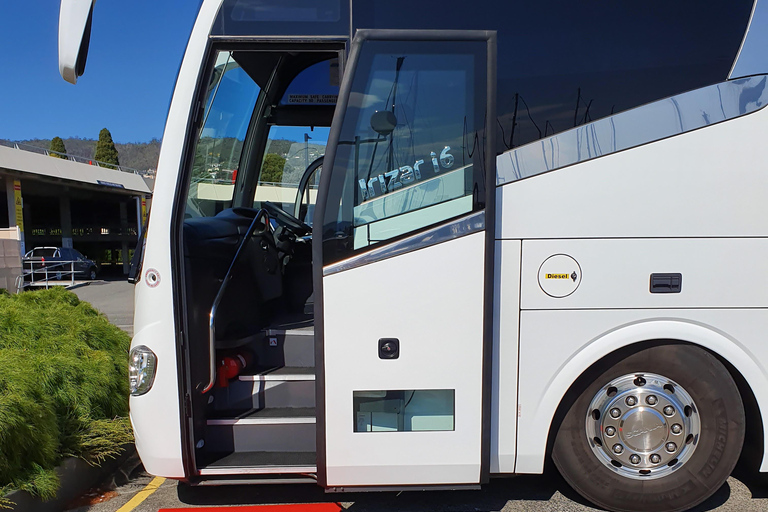 Hobart: Mt Wellington & MONA (Private Tour)