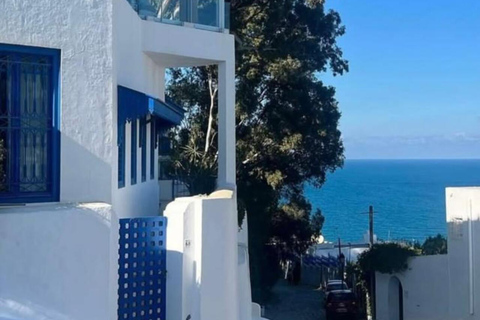 Tunis VIP Tour: Comfort, Fun & Best Value All-in-One !! Tunis : WITHOUT Pick-Up WITHOUT inclusions (Not Recommended)
