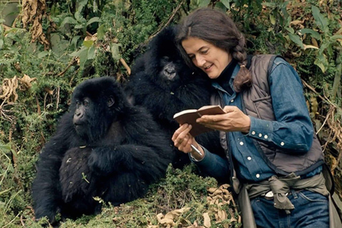 4 Day Rwanda Gorilla Trekking & Dian Fossey Tomb