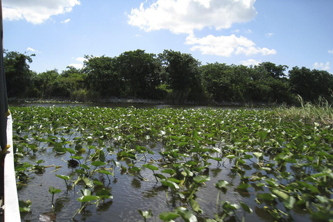 Visite d&#039;une demi-journée des Everglades en canot pneumatique et transport