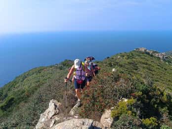 Sassari: Trekking at the Argentiera